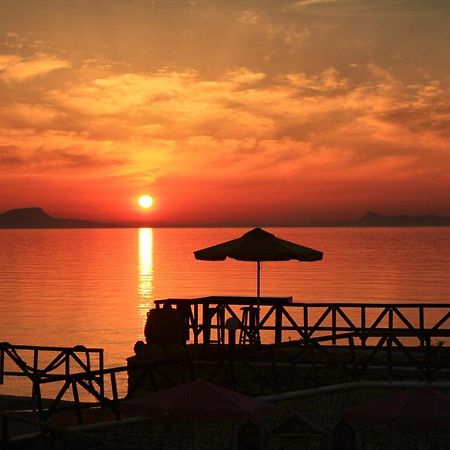 Alkionis Beach Hotel Apartments Sfáka Eksteriør bilde